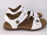 Tango's Harry available in 3 colours